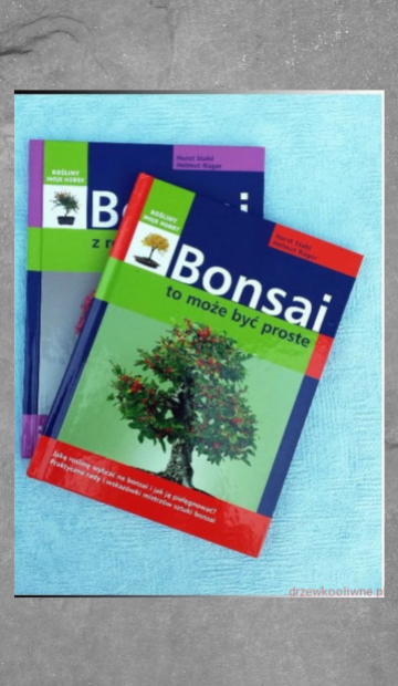 bonsai_to_moze_byc_proste_zdj_glowne.png